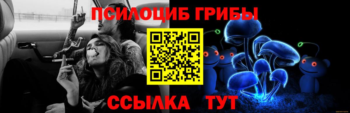 Галлюциногенные грибы Magic Shrooms Нефтеюганск